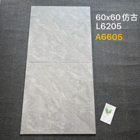 Carreaux 60×60