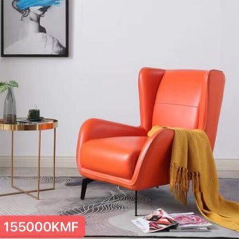 Fauteuil moderne de luxe